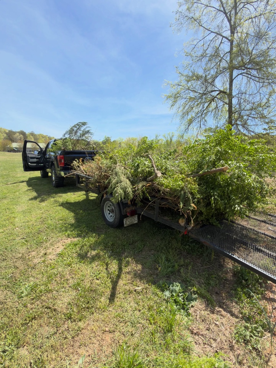 Truck and trailer loaded with brush